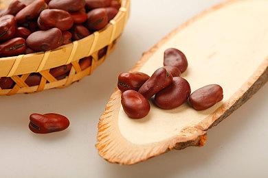 治愈系生活模拟游戏《窗景》现已推出试玩Demo 预计2025年抢先体验发售